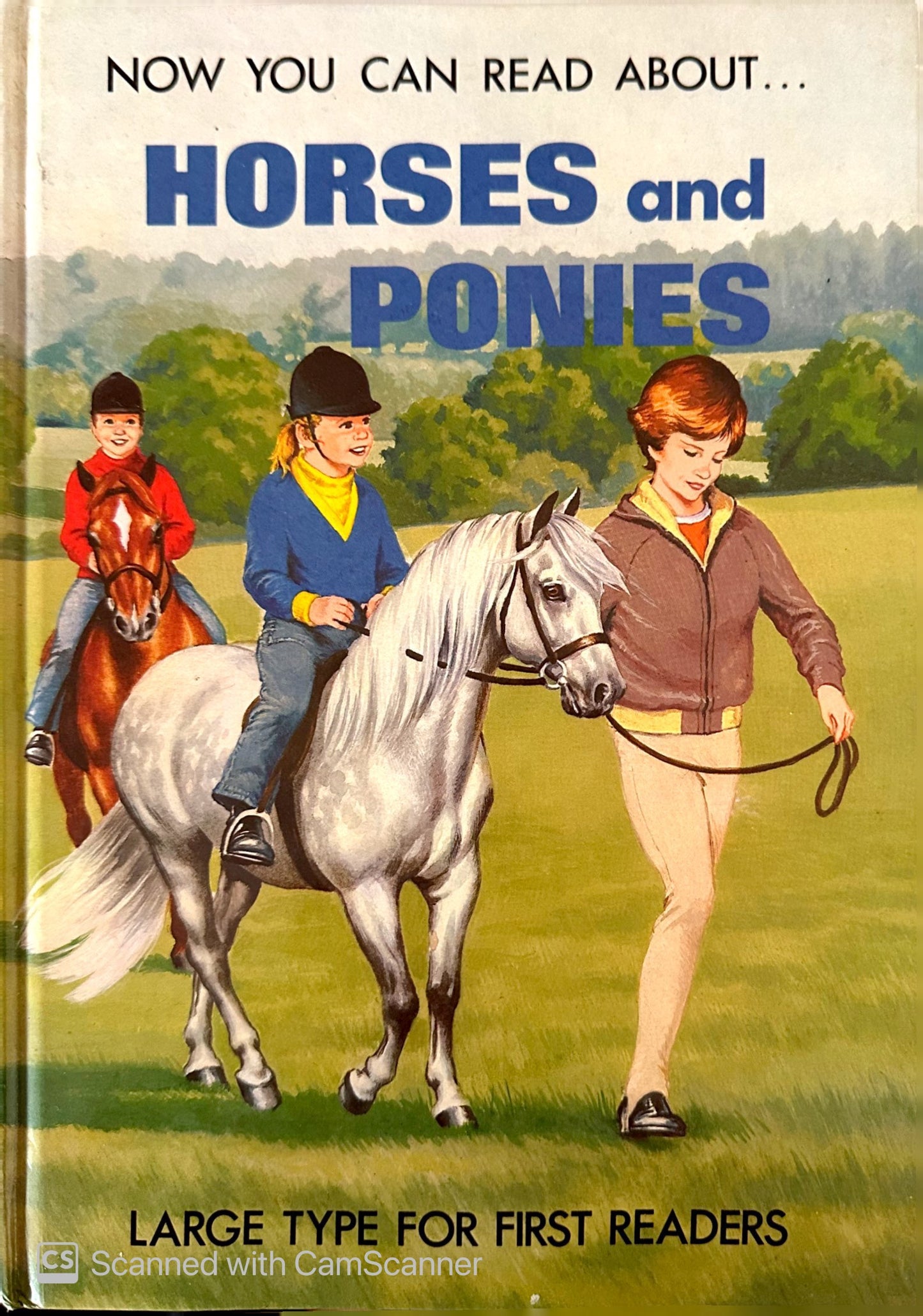 Horses and Ponies (Now You Can Read About S.) By Stephen Attmore